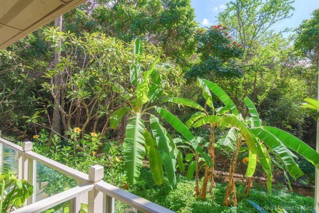 Tiki Tiki - Gorgeous Boho Beach Hideaway! Wailea  Exterior foto